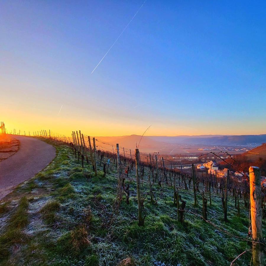 كونز Ferienwohnung An Der Mosel المظهر الخارجي الصورة